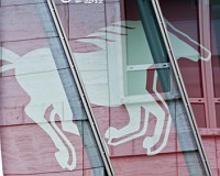 Wilde Mustangs unterwegs in Stuttgart auf der Königsstraße