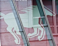 Wilde Mustangs unterwegs in Stuttgart auf der Königsstraße