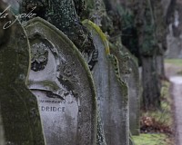 Luton cemetery / Lutoner Friedhof