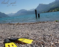 Schweiz: entspannen am Vierwaldstättersee